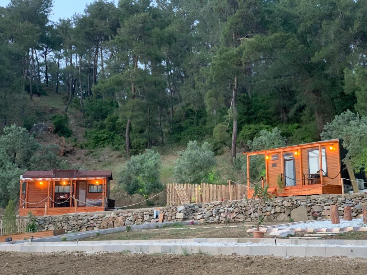 Tiny Mini House Hotel Dalaman Exterior photo