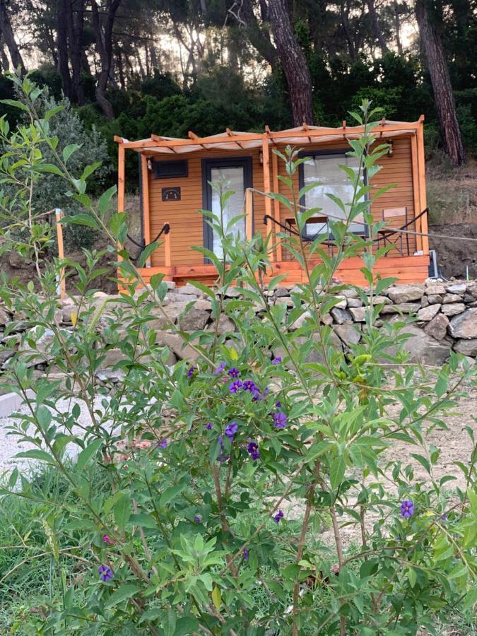 Tiny Mini House Hotel Dalaman Exterior photo