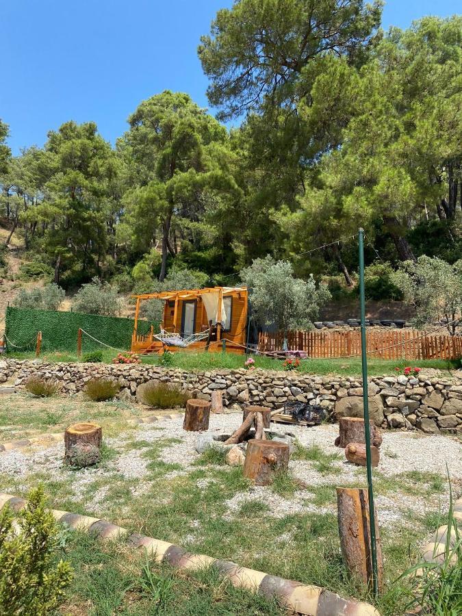 Tiny Mini House Hotel Dalaman Exterior photo